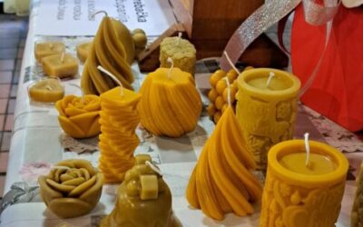 Što nam pčela daje