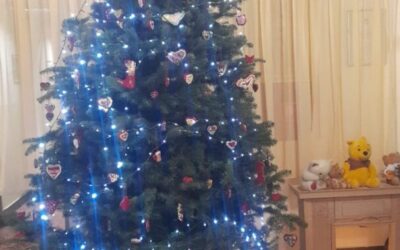 Želimo vam blagoslovljen Božić i sretnu 2026.godinu!