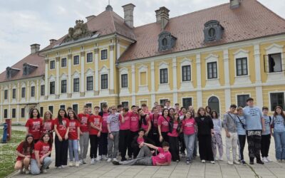 Stoji grad…Vukovar!