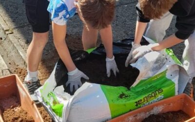 3,2,1…vrijeme je za akciju!